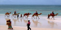Diani Beach